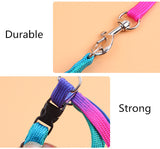 Adjustable Small Pet Dog Leash Pet Product Nylon Dogs Collar Lead Leash Puppy Walk Out Hand Strap Lead For Dog Cat