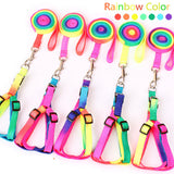 Adjustable Small Pet Dog Leash Pet Product Nylon Dogs Collar Lead Leash Puppy Walk Out Hand Strap Lead For Dog Cat