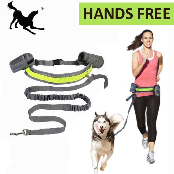 Pet Products For Large Dog Hands Free Leash Leads Dog-Collar Pet accessories
